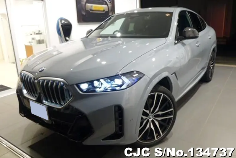 BMW / X6 2025