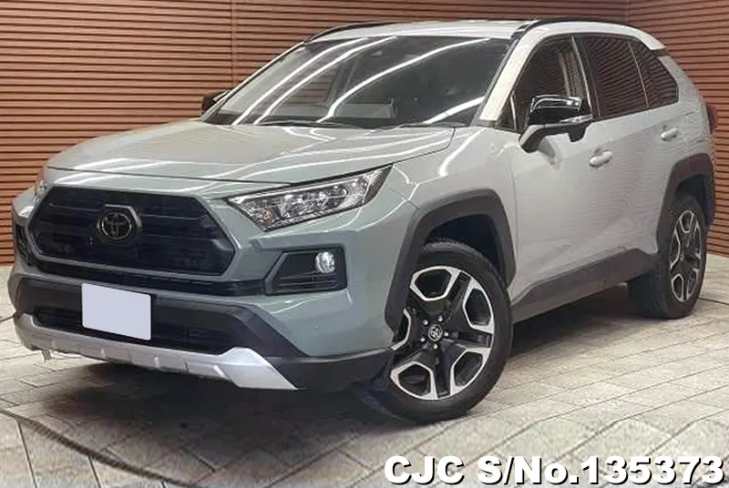 Toyota / Rav4 2021