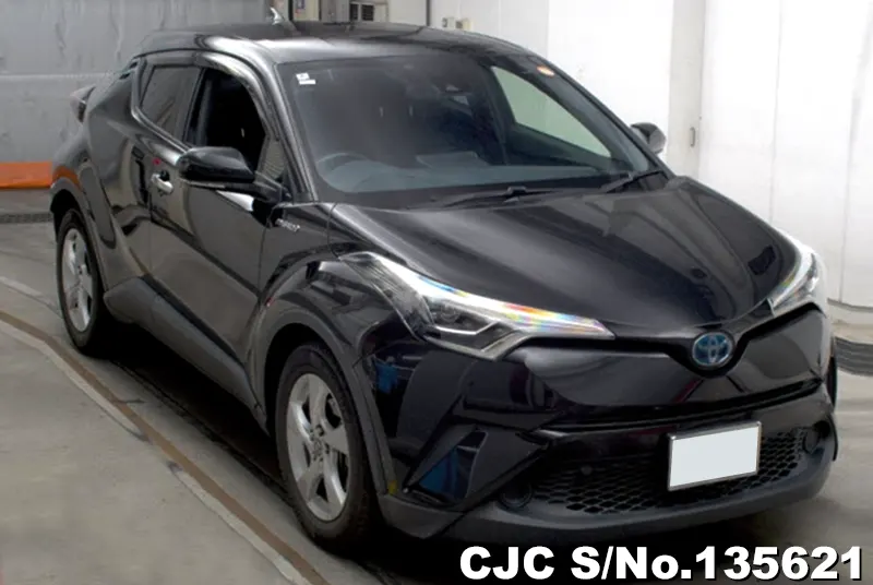 Toyota / C-HR 2018