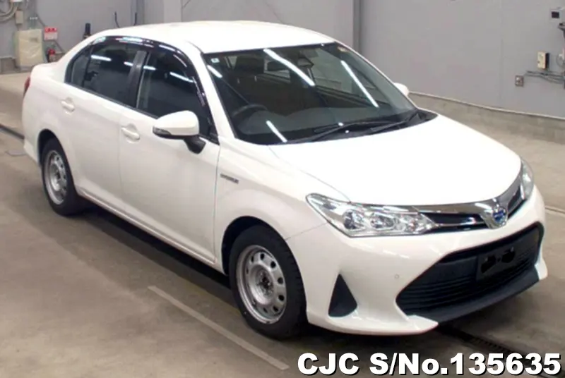 Toyota / Corolla Axio 2020