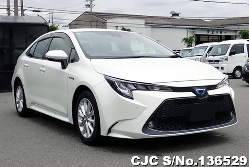 Toyota / Corolla 2019