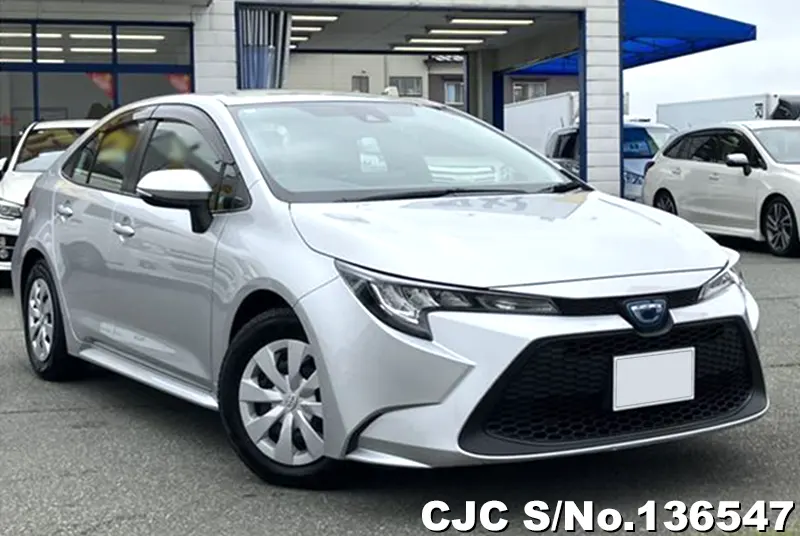Toyota / Corolla 2020