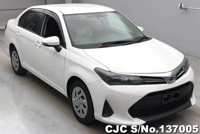 Toyota / Corolla Axio 2023