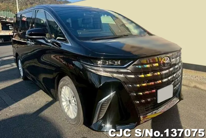 Toyota / Alphard 2026