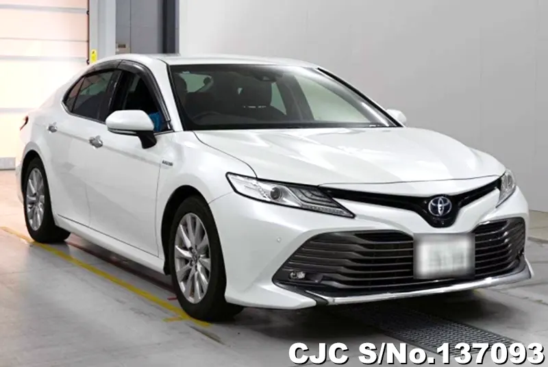 Toyota / Camry 2020