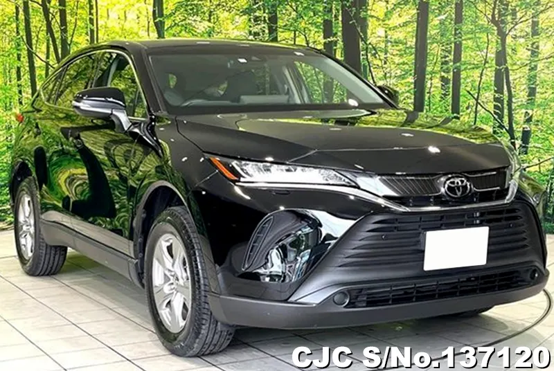 Toyota / Harrier 2023