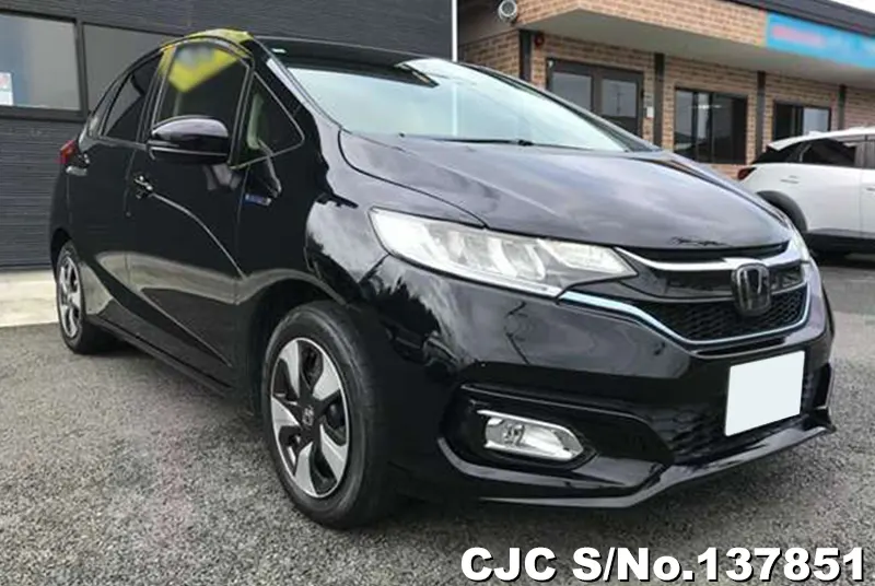 Honda / Fit 2019