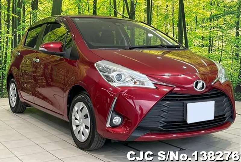 Toyota / Vitz 2019